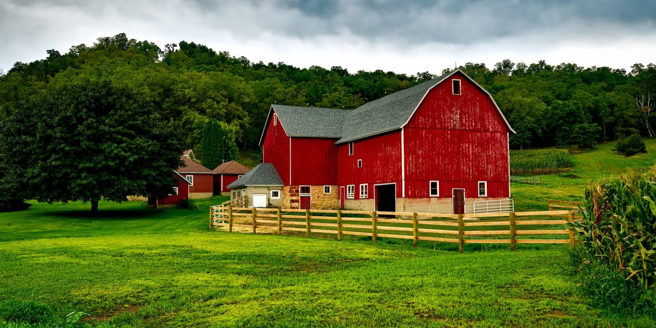 Homesteading: The New Norm