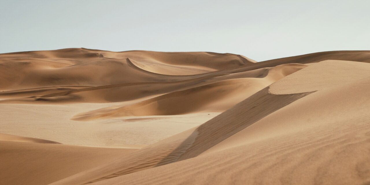 Dune Part Two Officially Happening at Warner Bros and Legendary Studios