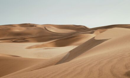 Dune Part Two Officially Happening at Warner Bros and Legendary Studios