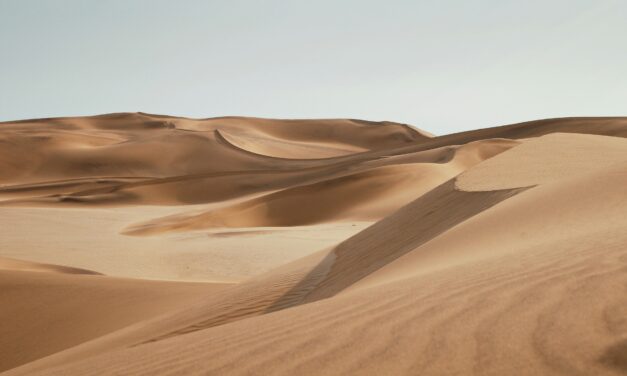 Dune Part Two Officially Happening at Warner Bros and Legendary Studios