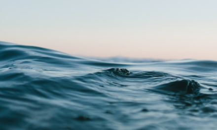 Water Breakout at Seminole Landing